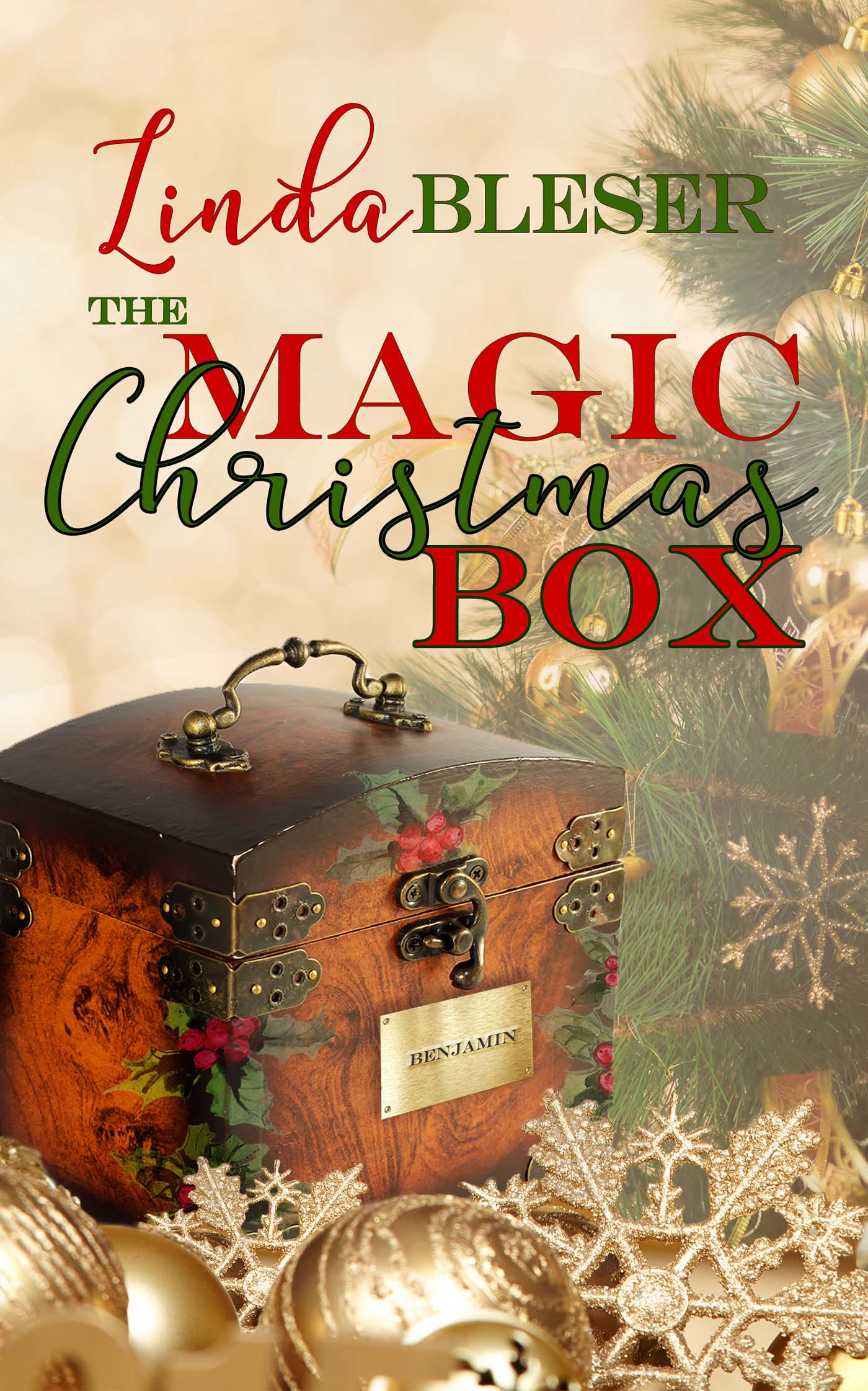 The Magic Christmas Box image 0