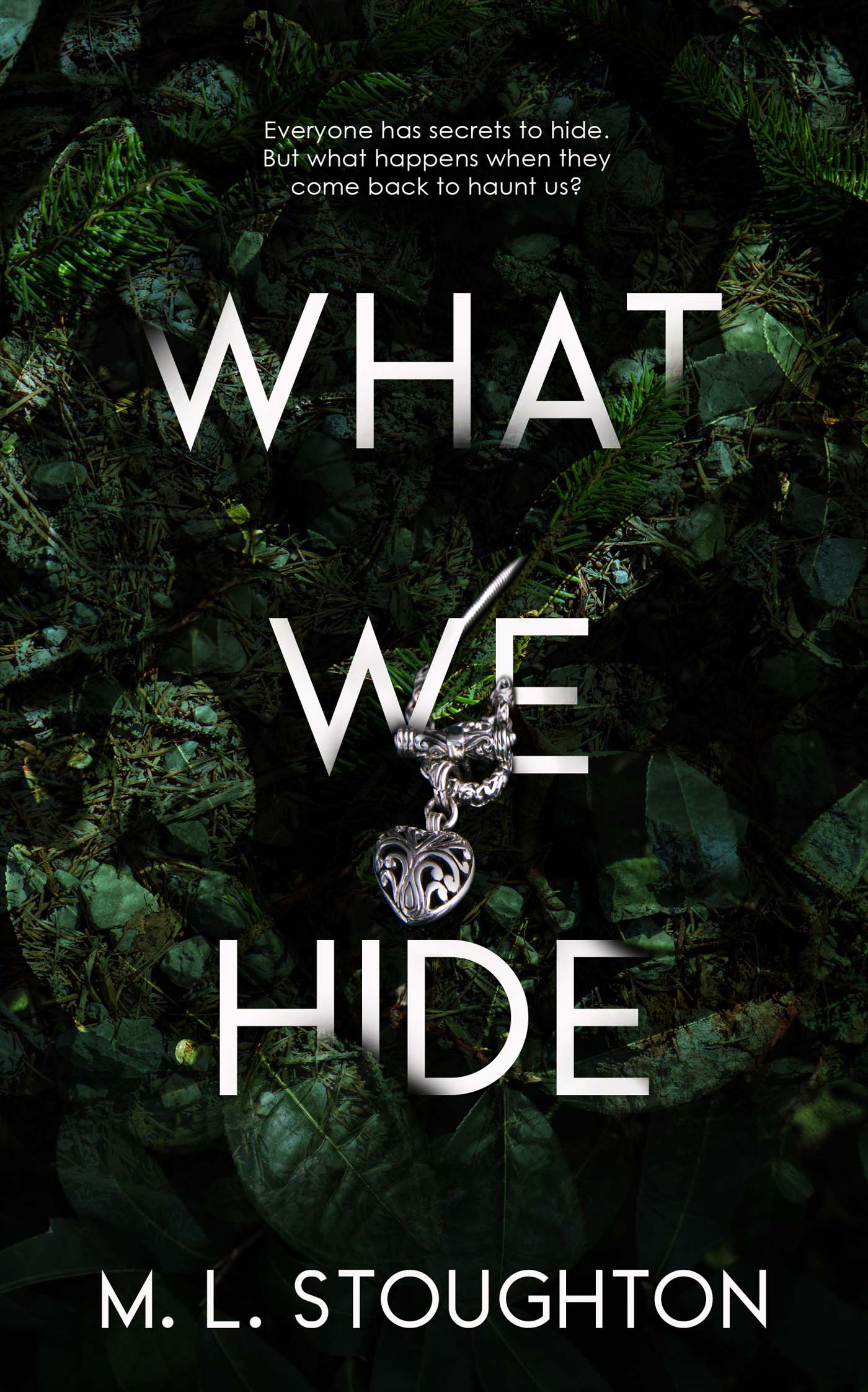 What We Hide image 0