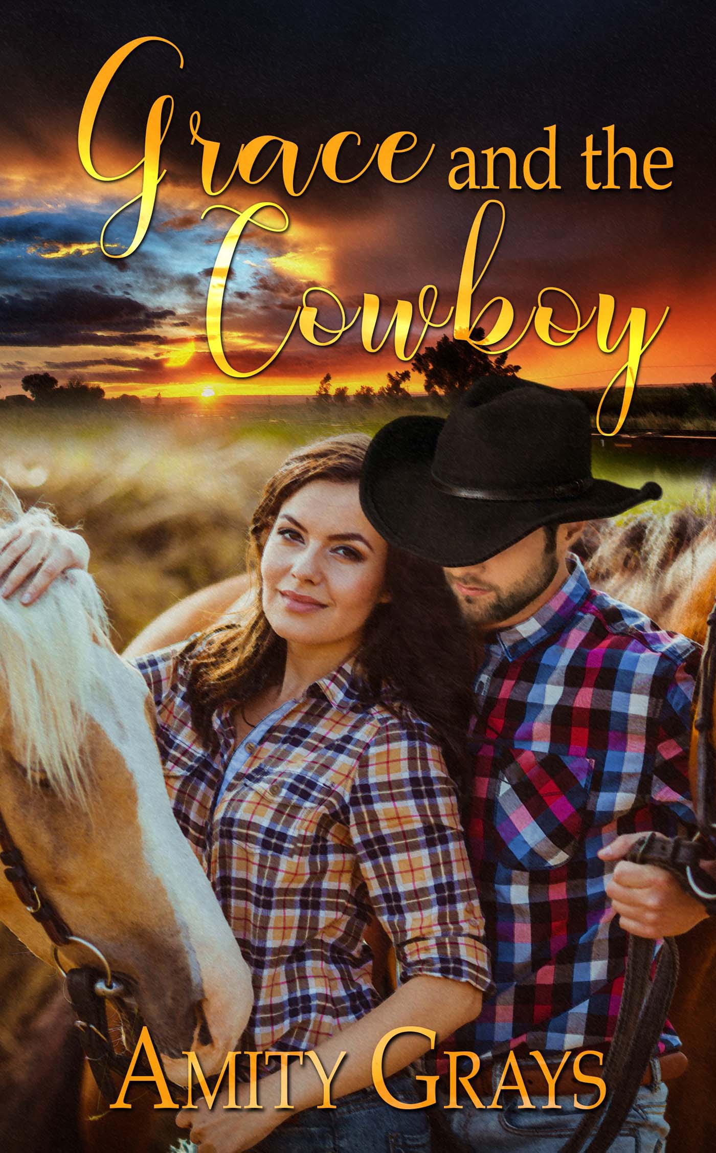 Grace and the Cowboy image 0