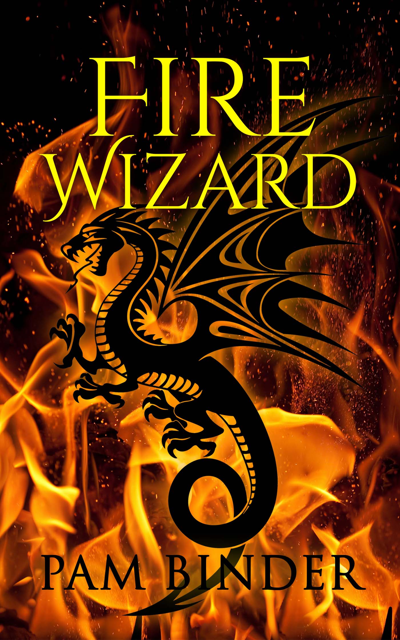 Fire Wizard image 0