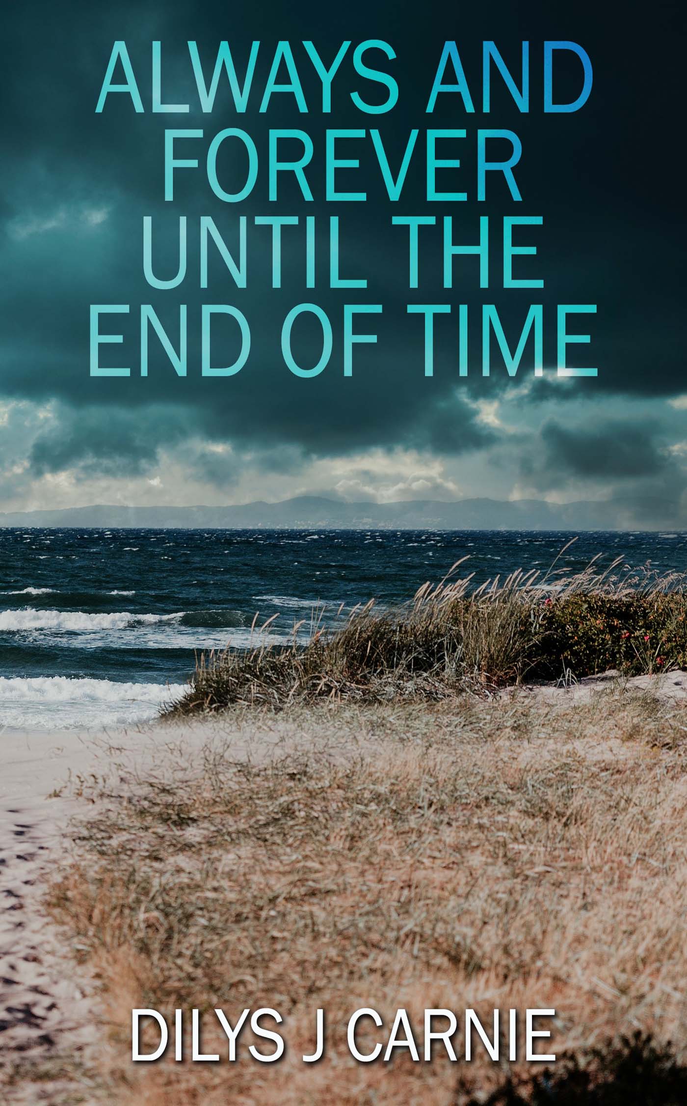 Always and Forever Until the End of Time image 0