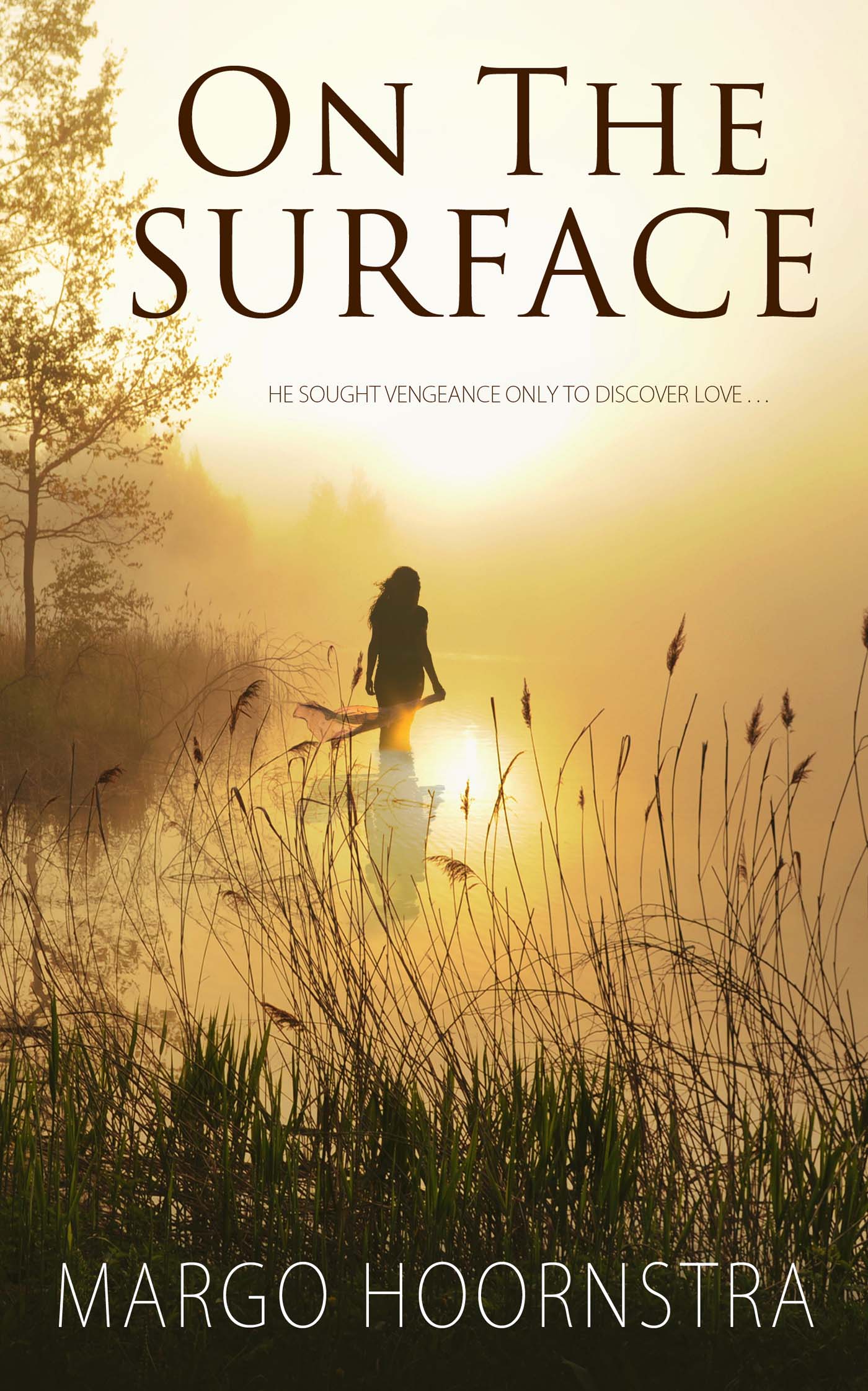 On the Surface image 0