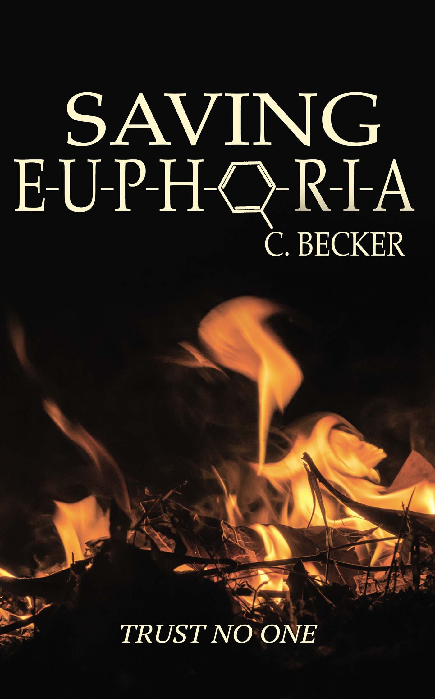 Saving Euphoria image 0