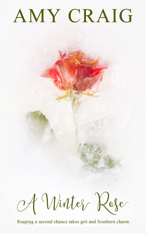A Winter Rose image 0