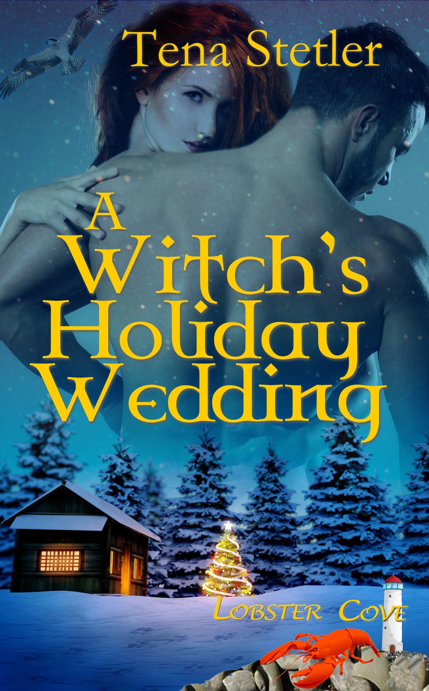 A Witch's Holiday Wedding image 0
