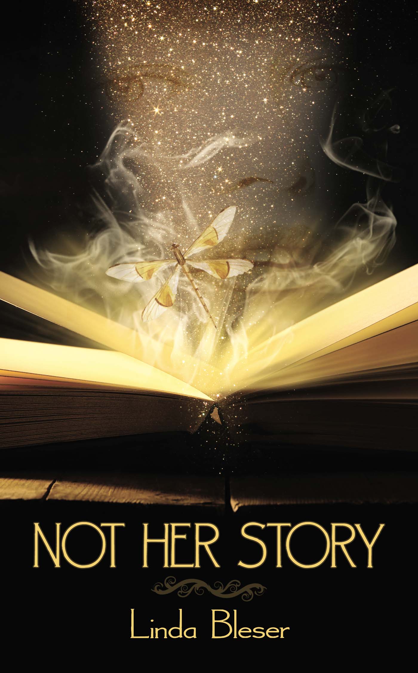 Not Her Story image 0