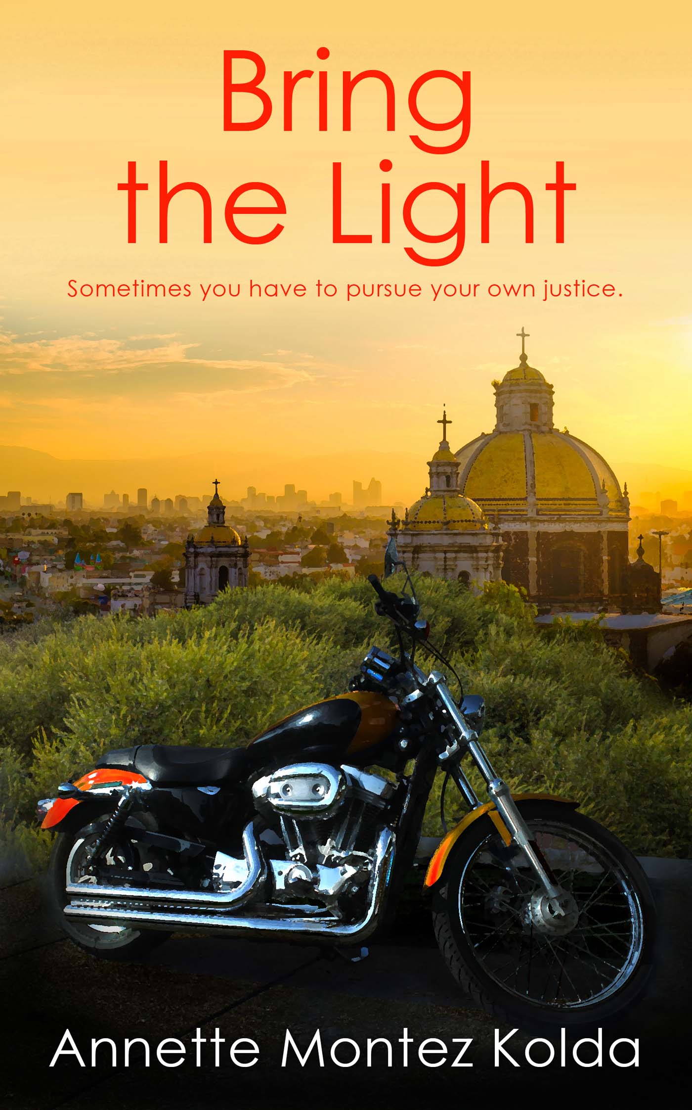 Bring the Light image 0