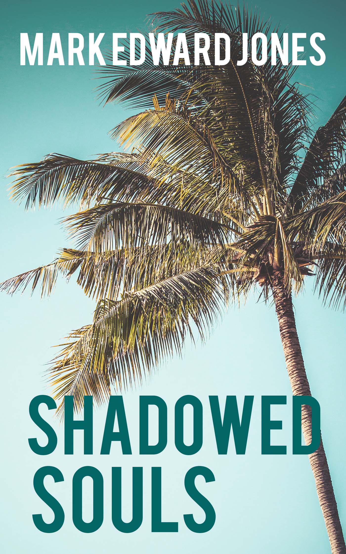 Shadowed Souls image 0