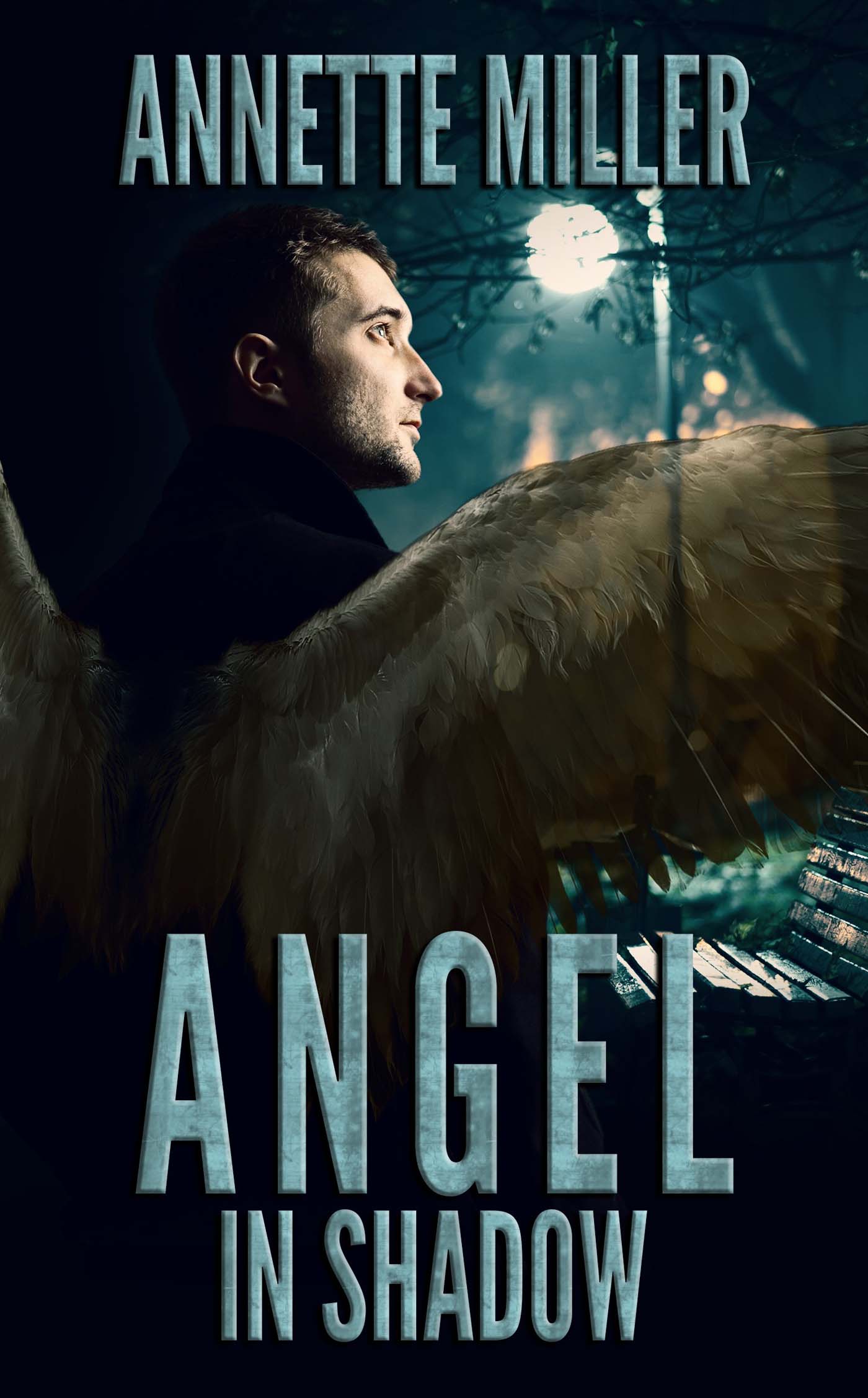 Angel in Shadow image 0