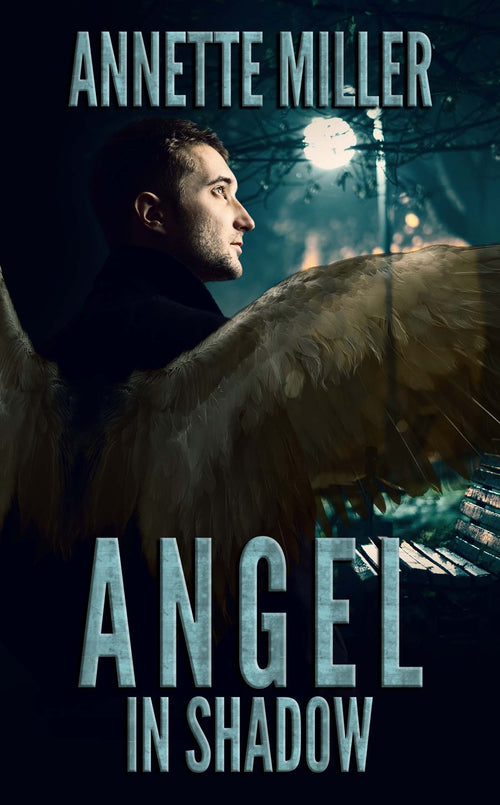 Angel in Shadow image 0