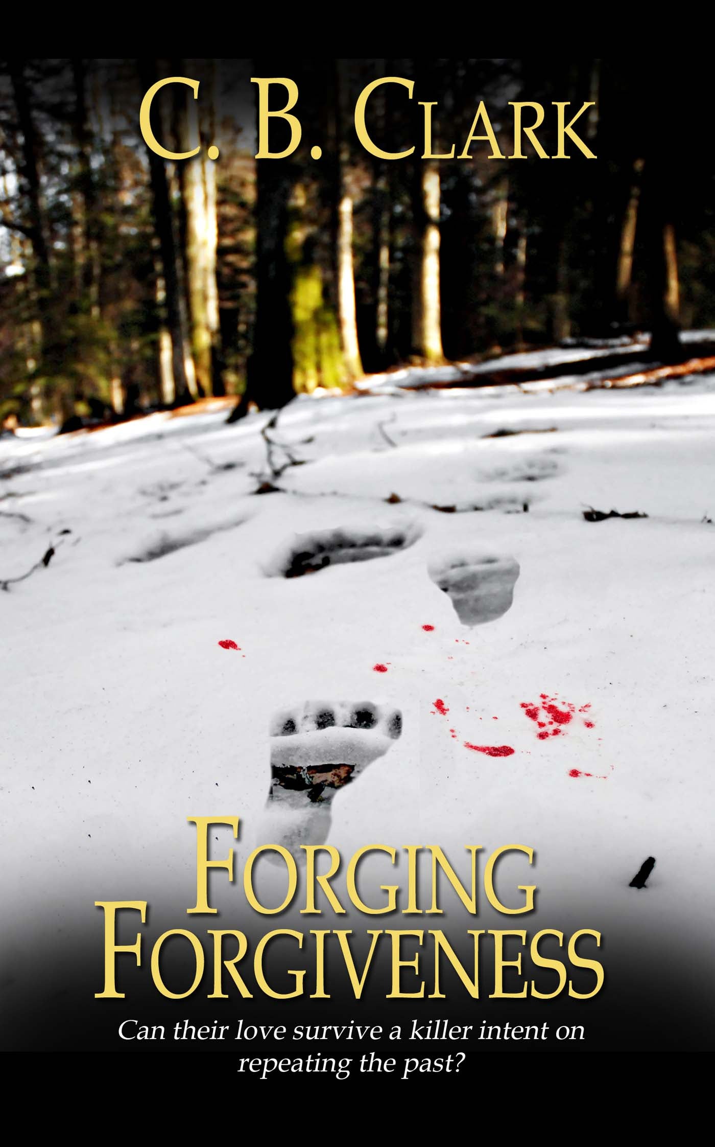 Forging Forgiveness image 0