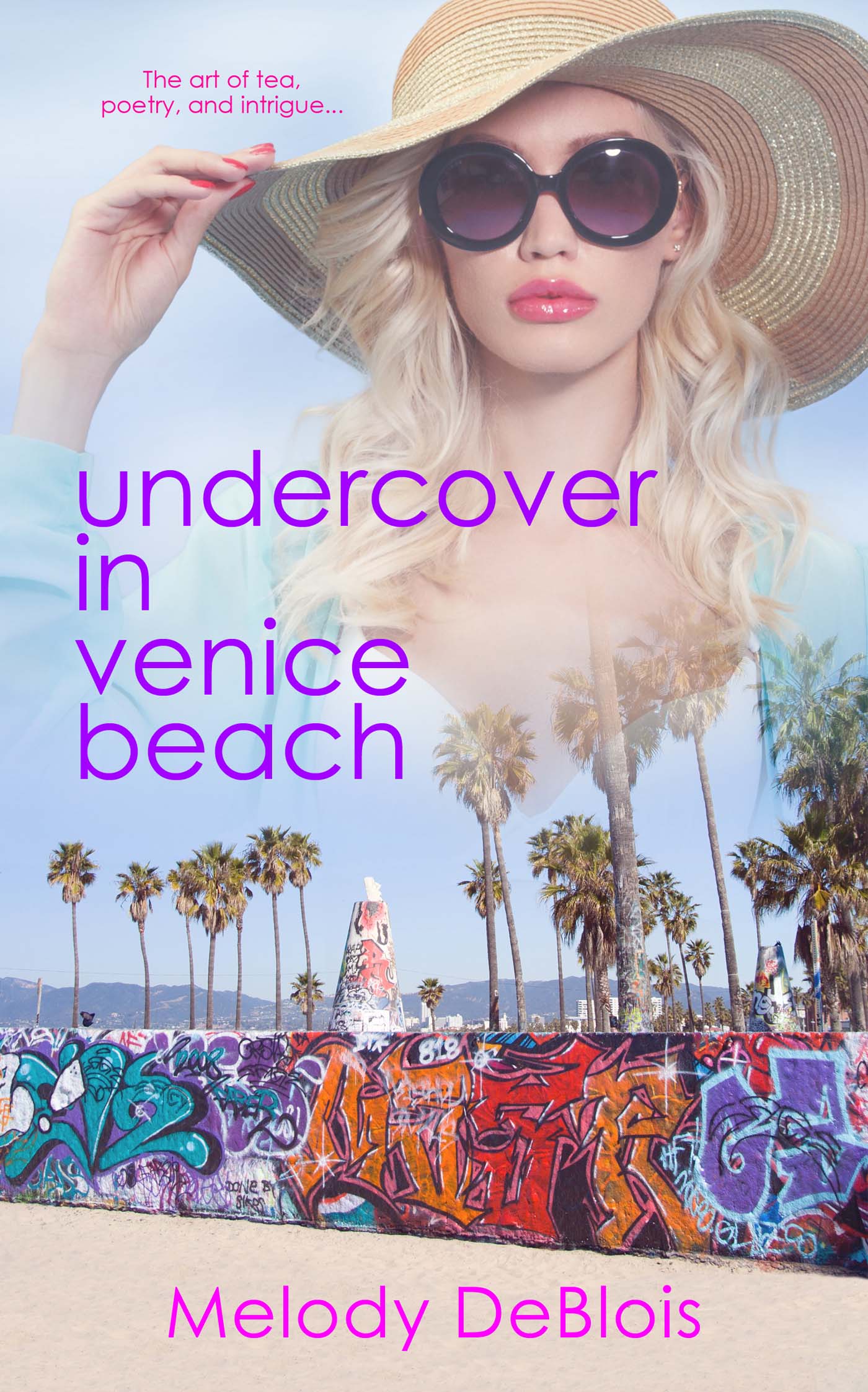 Undercover in Venice Beach image 0