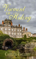 Viscount in Hiding image 0