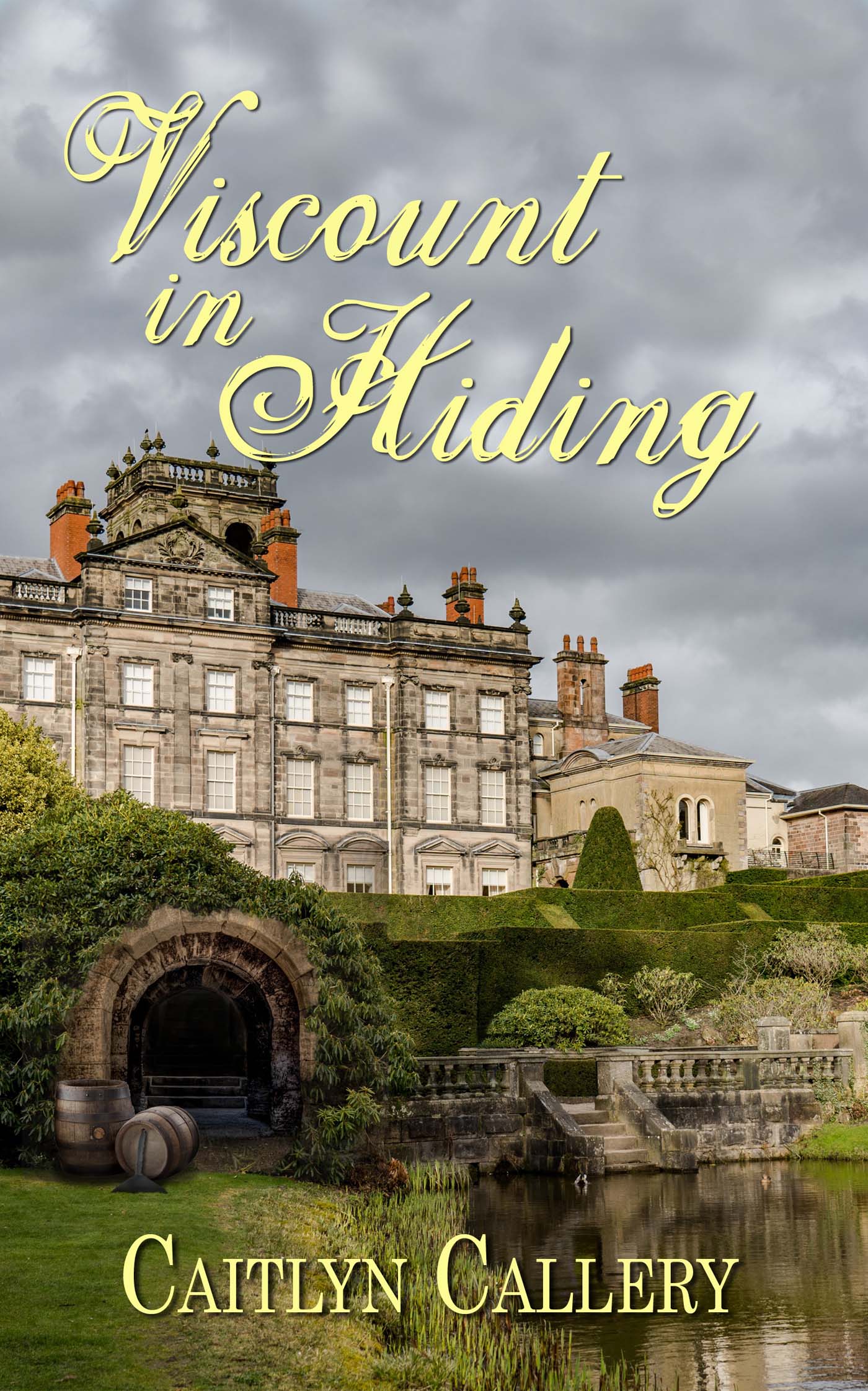 Viscount in Hiding image 0