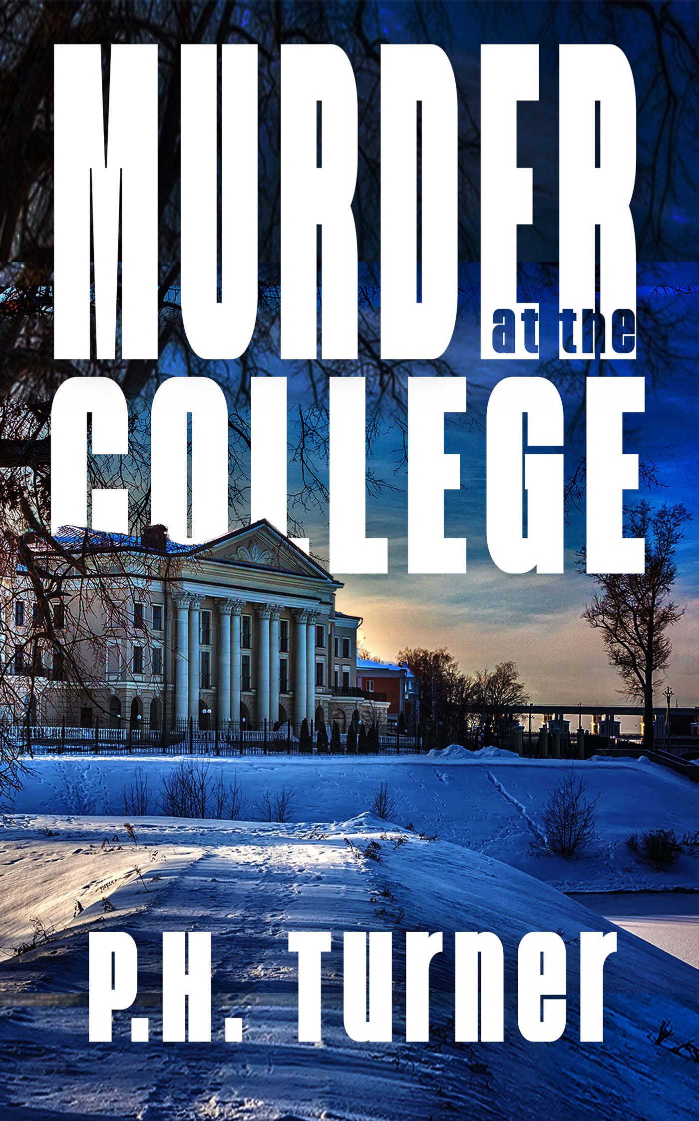 Murder at the College image 0