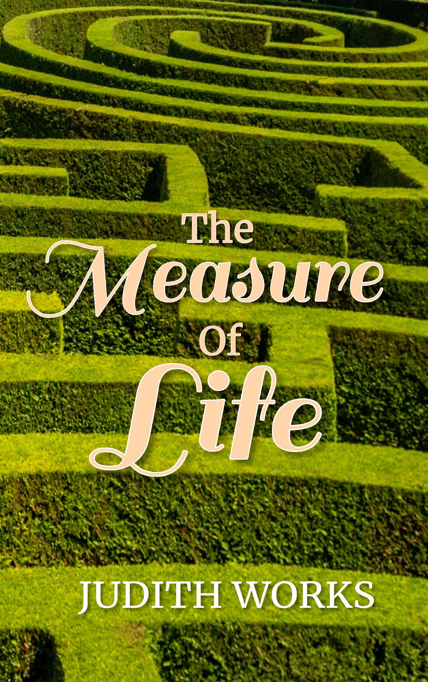 The Measure of Life image 0