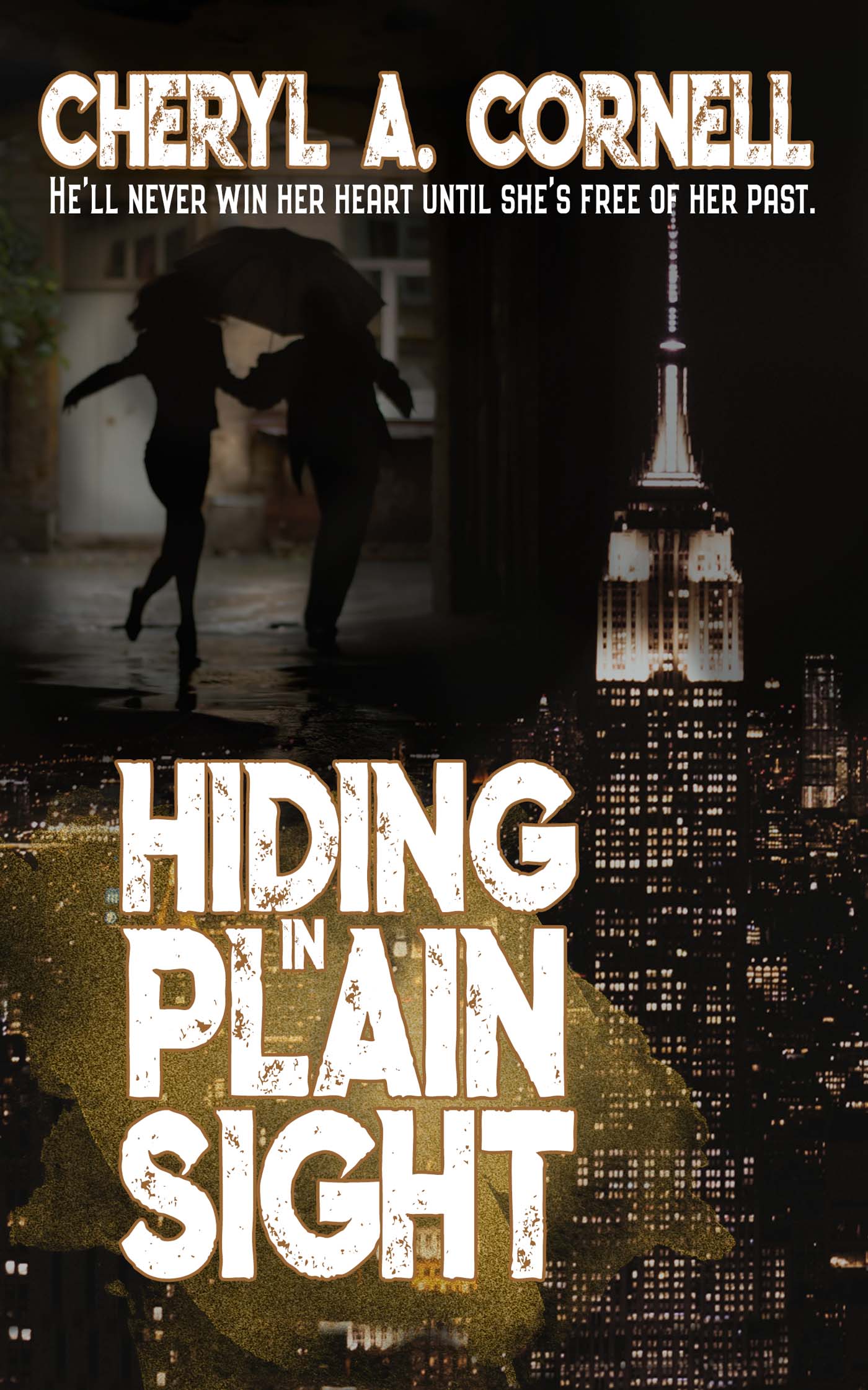 Hiding in Plain Sight image 0