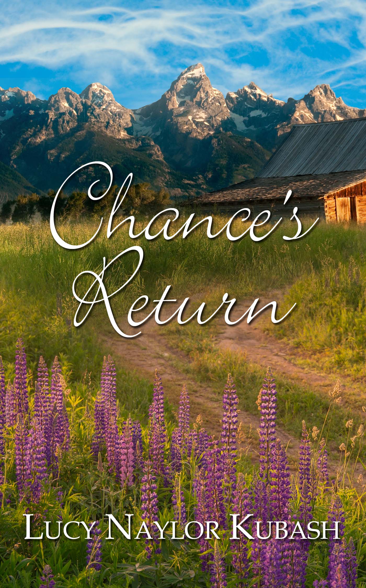 Chance's Return image 0