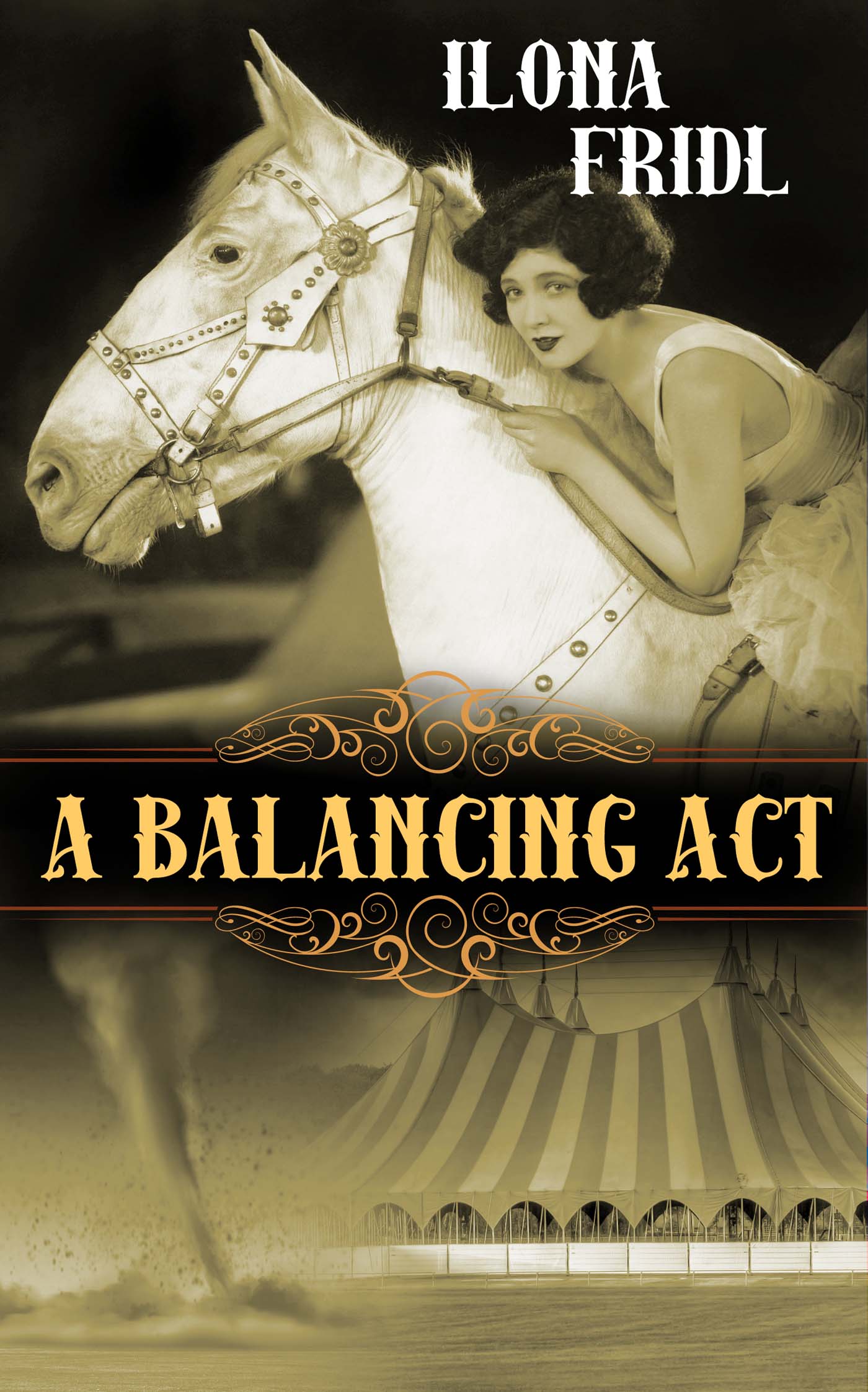 A Balancing Act image 0