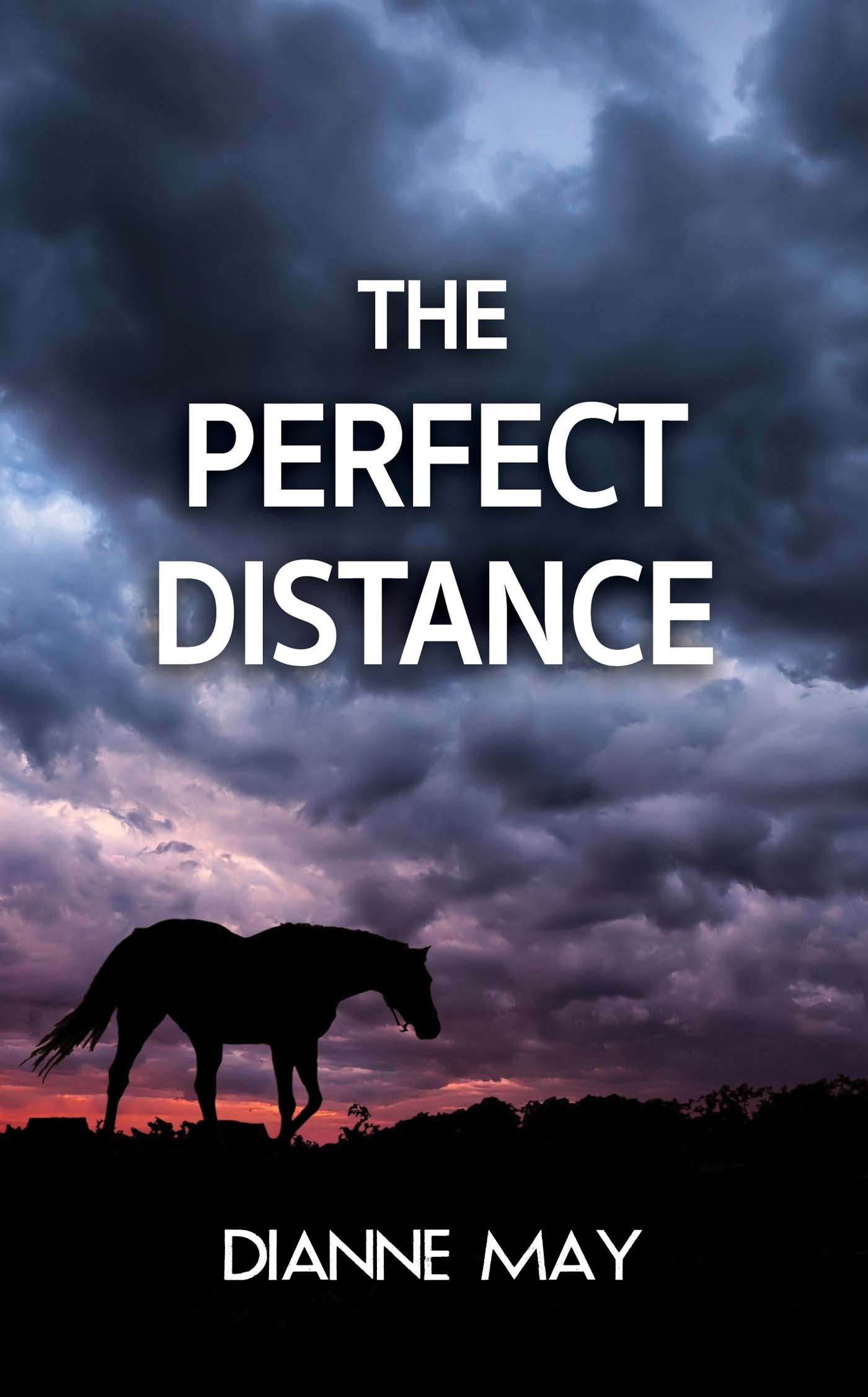The Perfect Distance image 0