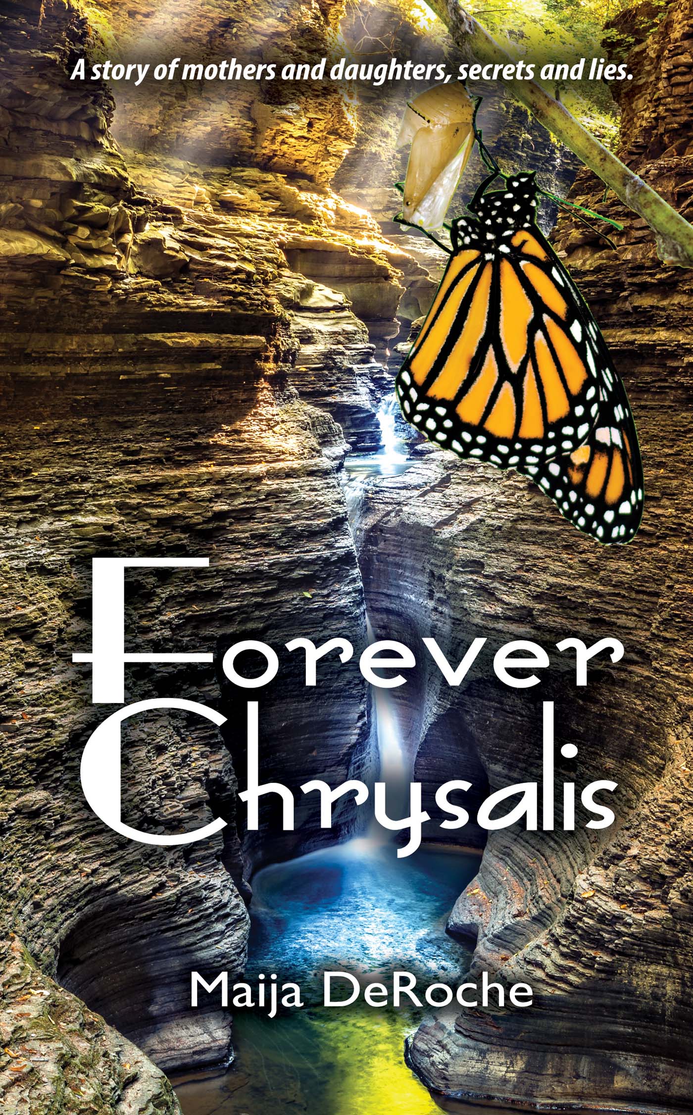 Forever Chrysalis image 0