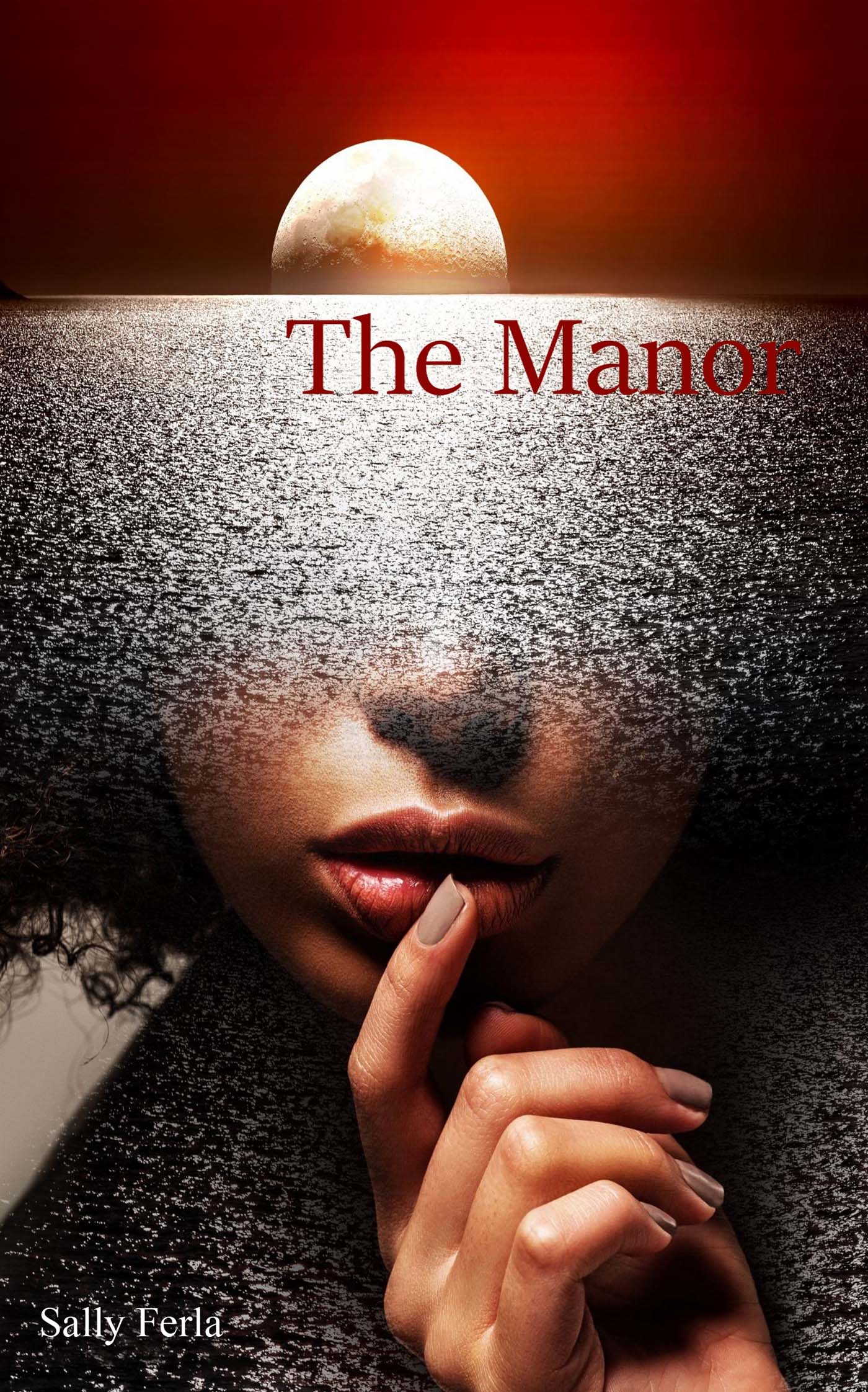 The Manor image 0