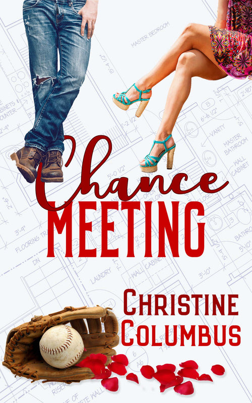 Chance Meeting image 0