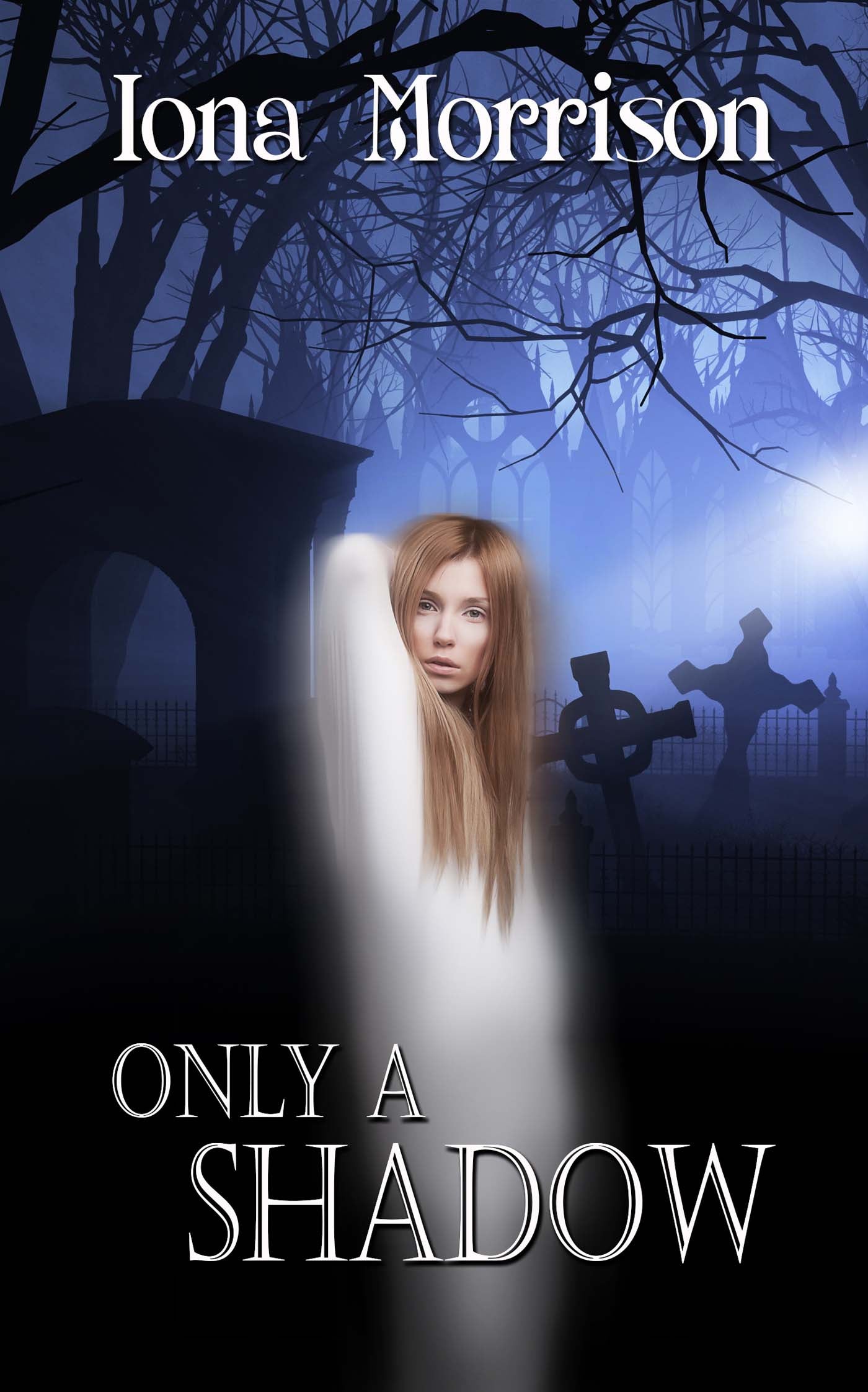Only a Shadow image 0