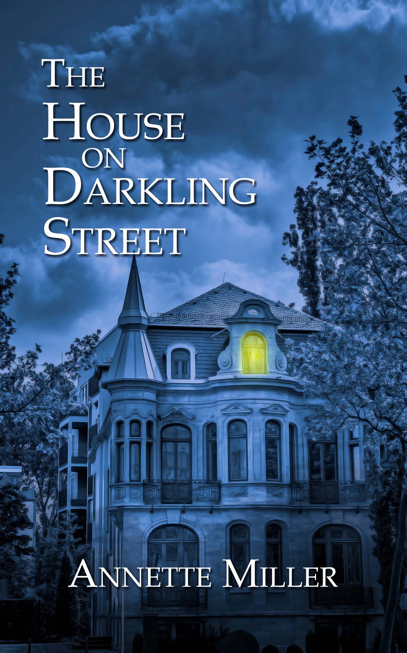 The House on Darkling Street image 0