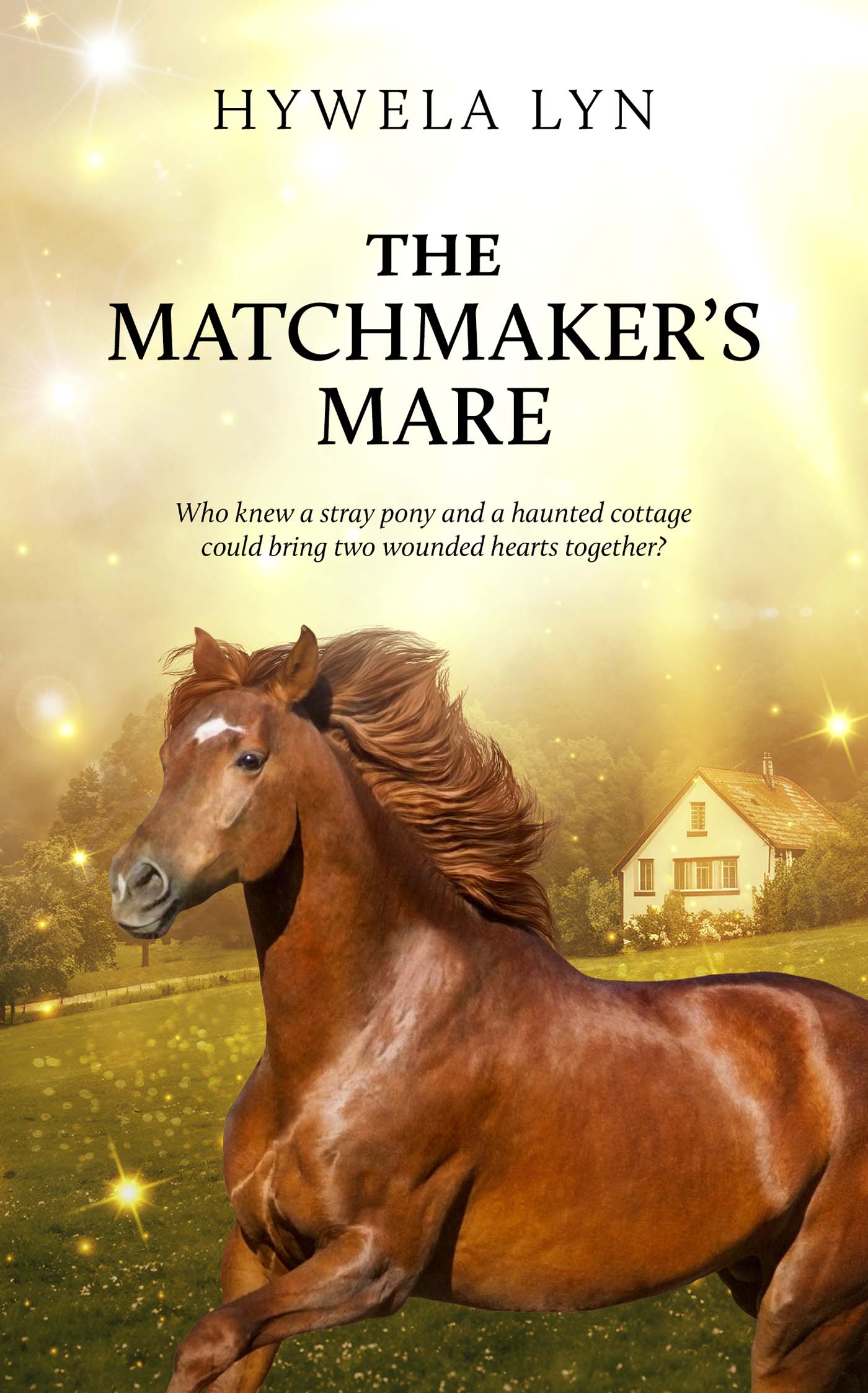 The Matchmaker's Mare image 0