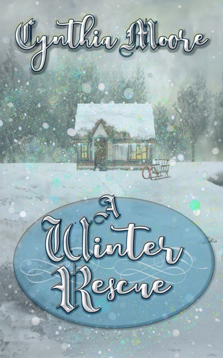 A Winter Rescue