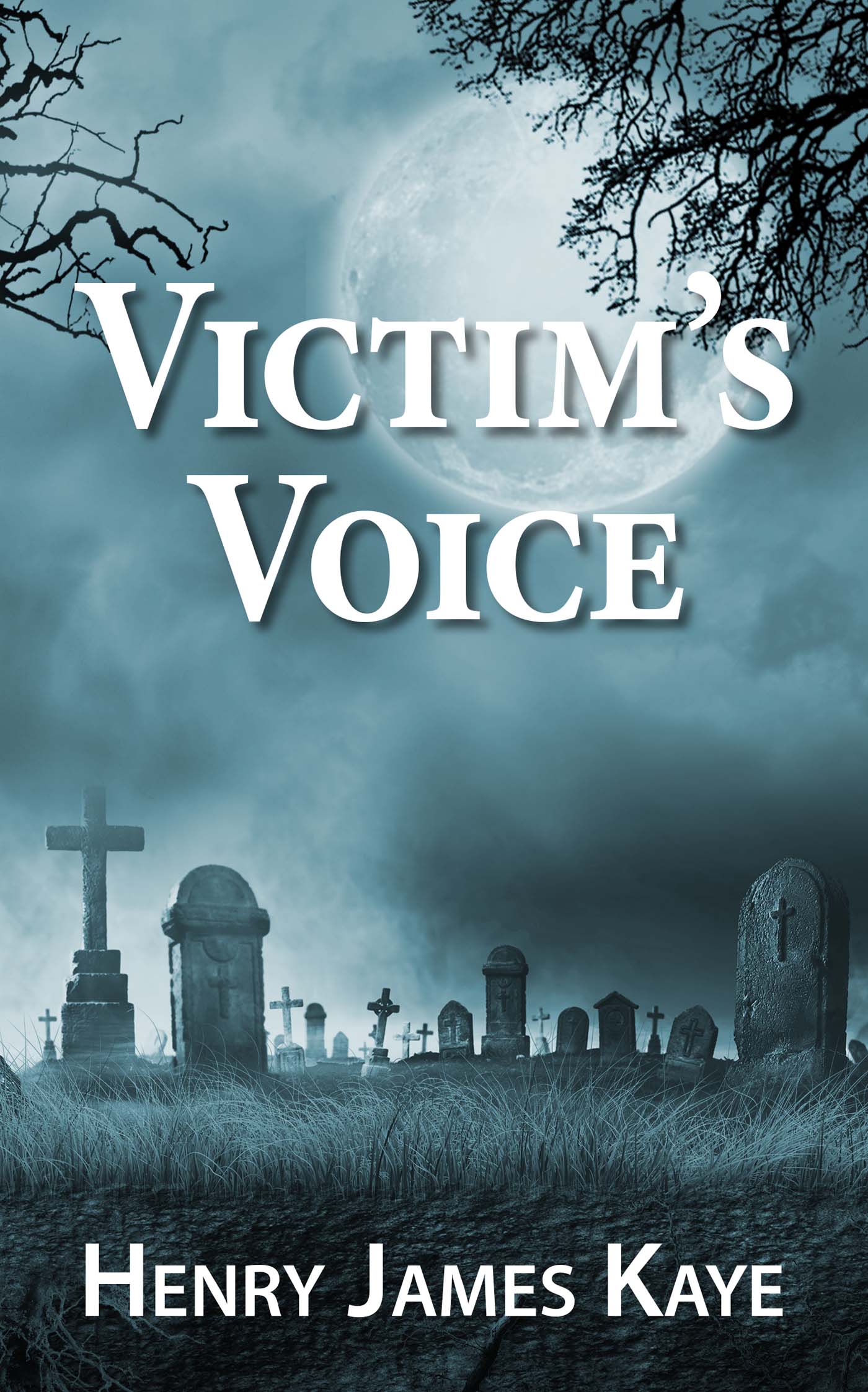 Victim's Voice
